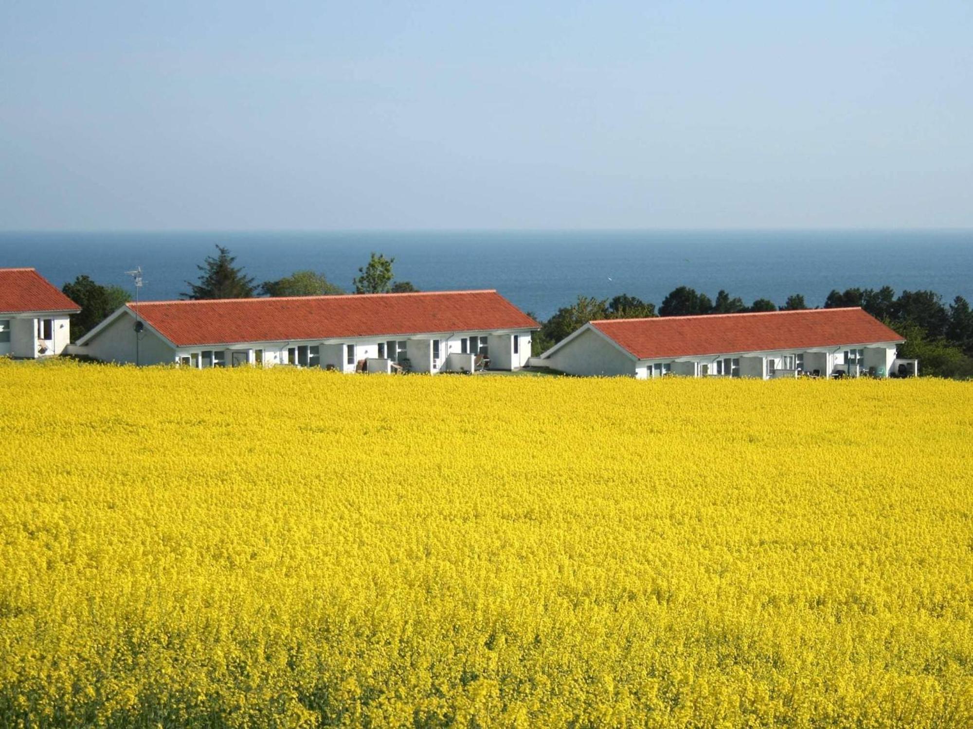 2 Person Holiday Home In Allinge Allinge-Sandvig Exterior foto